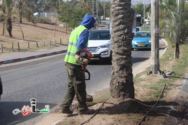 فيديو - كفر قاسم :  بعد النشر في قسماوي نت  البدء بالمراحل الاولى من البستنة والتشجير في جزر مدخل المدينة 